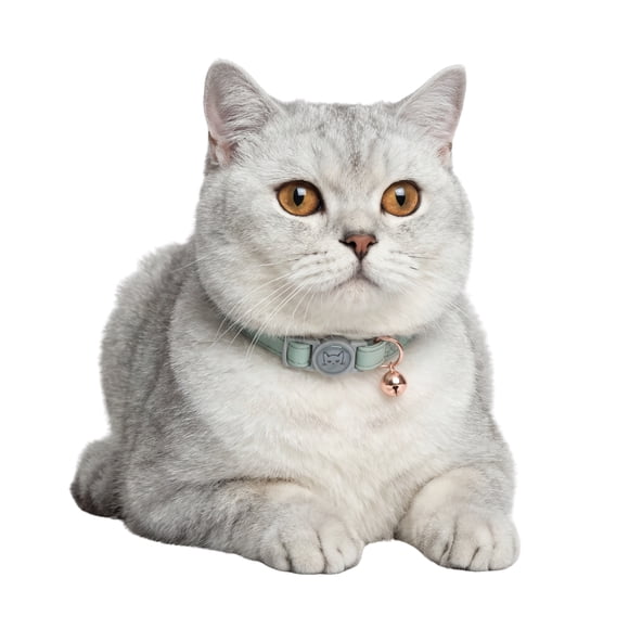 One Paw, Collier de Sécurité pour Chat en Cuir Végan, Fermoir Détachable