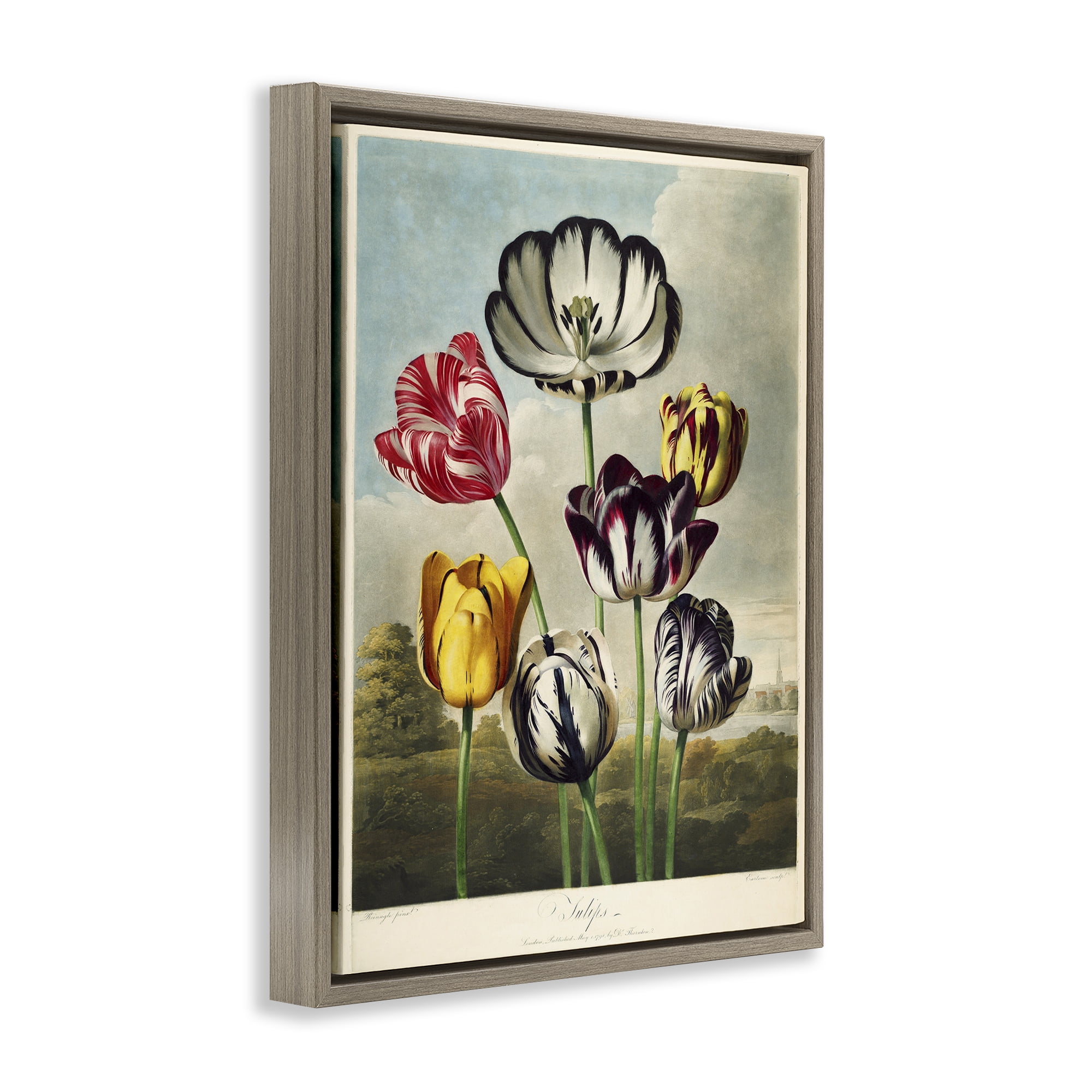 Stupell Industries Tulips From The Temple Brown Framed Floater Canvas Wall Art, design by Print Collection