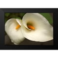 thumbnail image 2 of Crane, Rita 18x13 Black Modern Framed Museum Art Print Titled - Calla Lilies III, 2 of 5