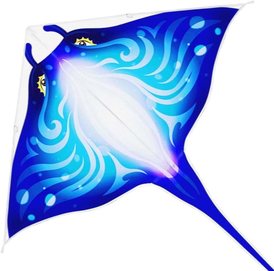 Devil Fish Kite for Kids Adults,Delta Kite Single Line Large Kite Handle Includ 