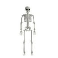 thumbnail image 1 of Halloween Movable Articulated Skeletons To A Atmosphere To Your Holiday, 1 of 5