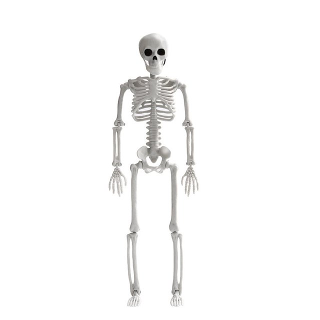 Halloween Movable Articulated Skeletons To A Atmosphere To Your Holiday