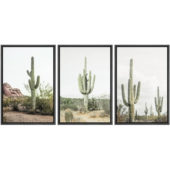 IDEA4WALL Framed Canvas Print Wall Art Set of 3 Desert Landscape Art, Southwest Cactus Prints, Botanical Floral Wall Decor, Nature Wilderness Modern Artwork for Bedroom - Black 16"x24"x3