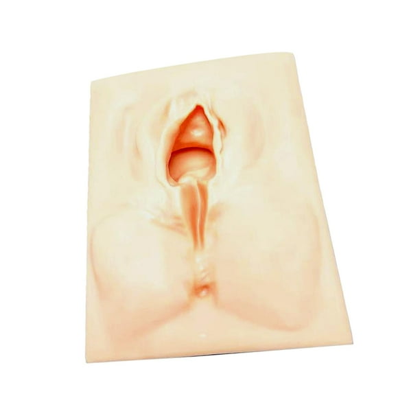 Práctica de Vulva, accesorios de incisión de Vulva femenina, perineo reutilizable de silicona para enseñanza, exhibición, enseñanza de ginecología Cortar por la mitad