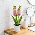 thumbnail image 1 of Hyacinth Bonsai Plastic Potted Plants Simulated Silk Flower Lifelike Home Decoration Suitable For Desktop Office And Wedding Centerpiece Decoration, 1 of 6