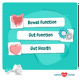 thumbnail image 3 of Coco and Luna Probiotics for Cats 120g Powder - Digestive Enzymes, Cat Probiotics and Digestive Enzymes, Cat Probiotics Powder, Promotes Healthy Stomach and Digestion (for Cats), 3 of 6