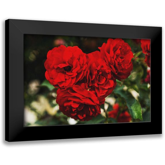 Stewart, Wil 14x11 Black Modern Framed Museum Art Print Titled - Rose Bunches