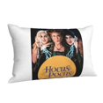 thumbnail image 2 of Funda de almohada de felpa suave de doble cara de Hocus Pocus para sofá, sala de estar, decoración del hogar, 2 of 8