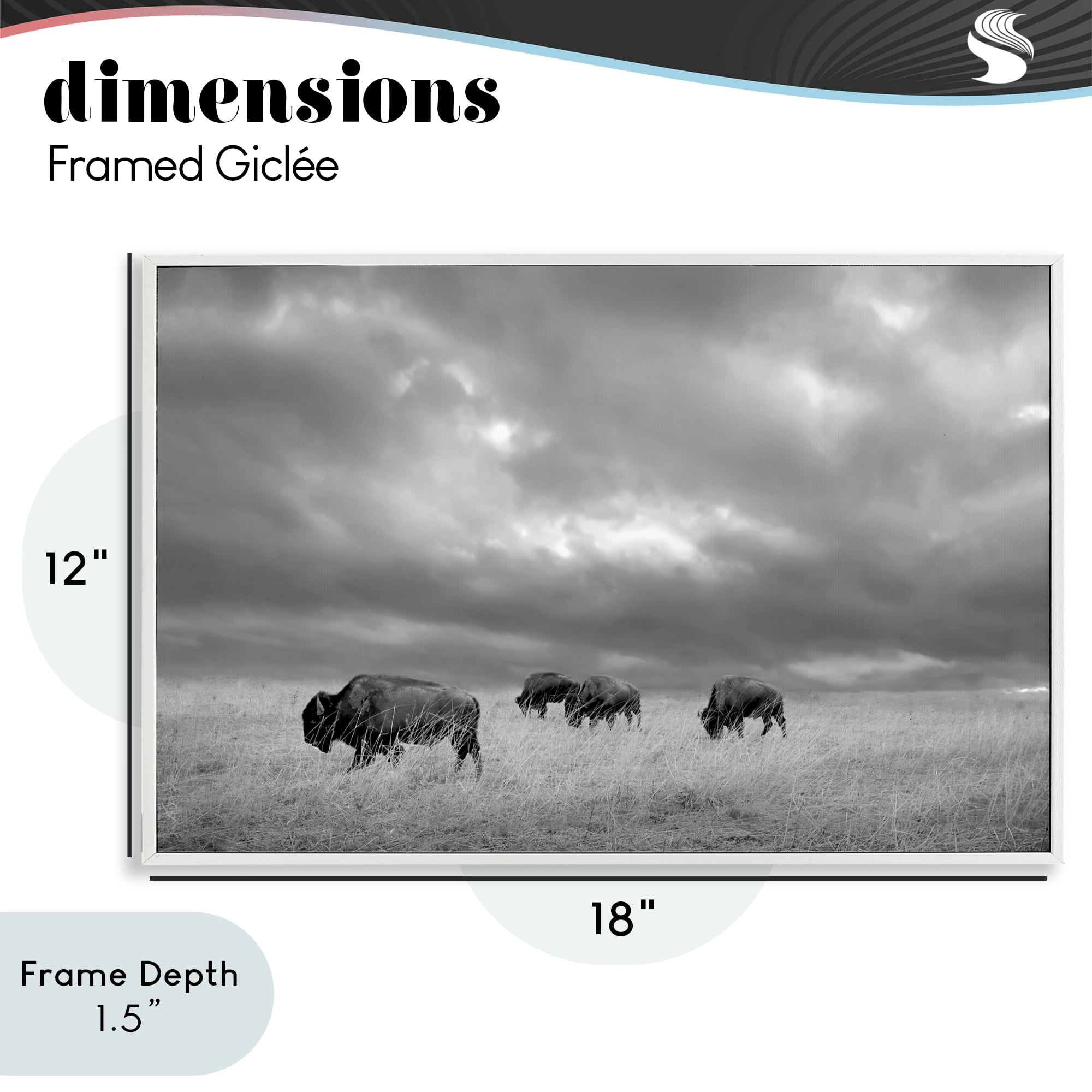 Stupell Industries Bisons Under an Autumn Sky White Framed Giclee Art, design by Steve Toole