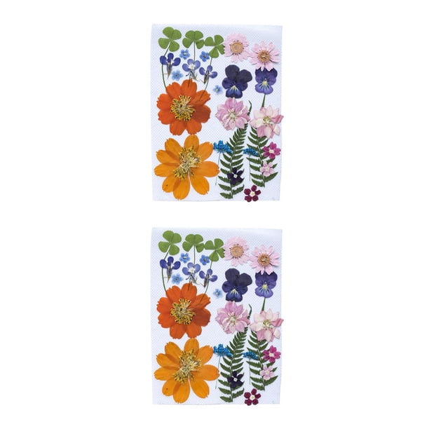 Adorno de flores prensadas en relieve Inteprter Artesanías de flores secas naturales Tipo 3