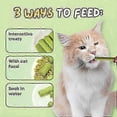 thumbnail image 4 of Berdexa Cat Grass Teething Sticks,Berdexa Cat Grass Feeding Stick,for Indoor Cat, 4 of 5