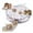 B, variant on SIfdSeng Travel Toys Comenew Interactive Cat Toys. 2025's Latest Two in One. Pursuit Toys Including Toy and Double Layer Mat. Stimulates Instinct. (Pursuit Hood + Playing Cat Sphere) Kid Toys for Boys