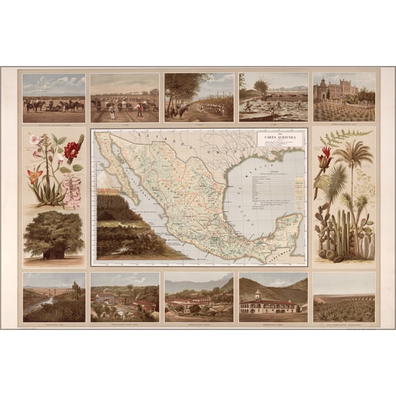 24"x36" Gallery Poster, Agricultural map of mexico 1885