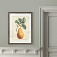 thumbnail image 4 of Wexford Home Antique Pear Botanical I-Framed - Espresso - 22X30, 4 of 4