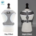 thumbnail image 3 of Deago Dog Harness Leash Set, Dog Harness No-Pull Pet Harness Adjustable Reflective Mesh Outdoor Pet Vest for Dogs Easy Control for Small Medium Dogs - Size XS, Gray, 3 of 10