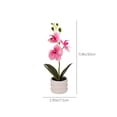 thumbnail image 3 of Planta artificial de orquídea falsa Phalaenopsis realista con maceta lastrada - Flor de seda realista para decoración de boda en la oficina en casa, 3 of 9