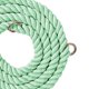 thumbnail image 3 of Correa para Perros Hecha a Mano Correa de Entrenamiento para Perros Trenzada de Doble Cabeza Multifuncional con Accesorios Dorados para Correr Verde Menta 210x1,2 cm/82,7x0,5 Pulgadas, 3 of 5