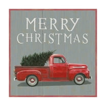 Trademark Fine Art 'Christmas Affinity XI Merry Christmas' Canvas Art by James Wiens