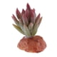 thumbnail image 3 of Plantas para acuarios, decoración de reptiles - Terrario de reptiles F, 3 of 8