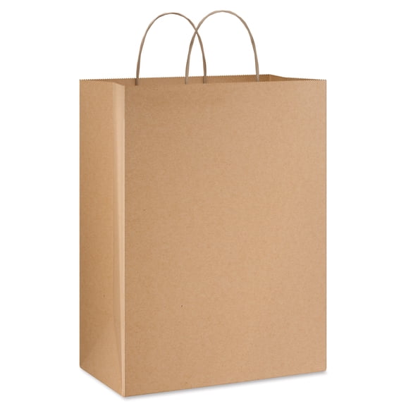American Greetings Medium Brown Kraft Gift Bag (1 Bag, 13 in. x 10 in.)