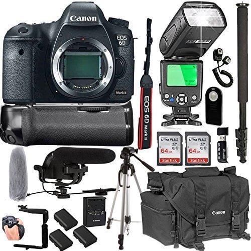 canon camera bag walmart