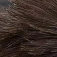 thumbnail image 6 of Yabuy Premium Ostrich  Duster with Wooden Handle Ideal for Delicate Items, Household Cleaning, 6 of 6