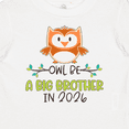 thumbnail image 4 of Inktastic Owl Be a Big Brother in 2026 Boys Baby T-Shirt, 4 of 5