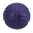 thumbnail image 5 of 3PK Large Interactive Play Durafoam Dog Puppy Ball Floating Toy-Assorted Colour, 5 of 7