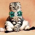 thumbnail image 4 of Collier Nœud Papillon Chat Fête Festive avec Design Imprimé Bande Texturée Douce Tissée, 4 of 4