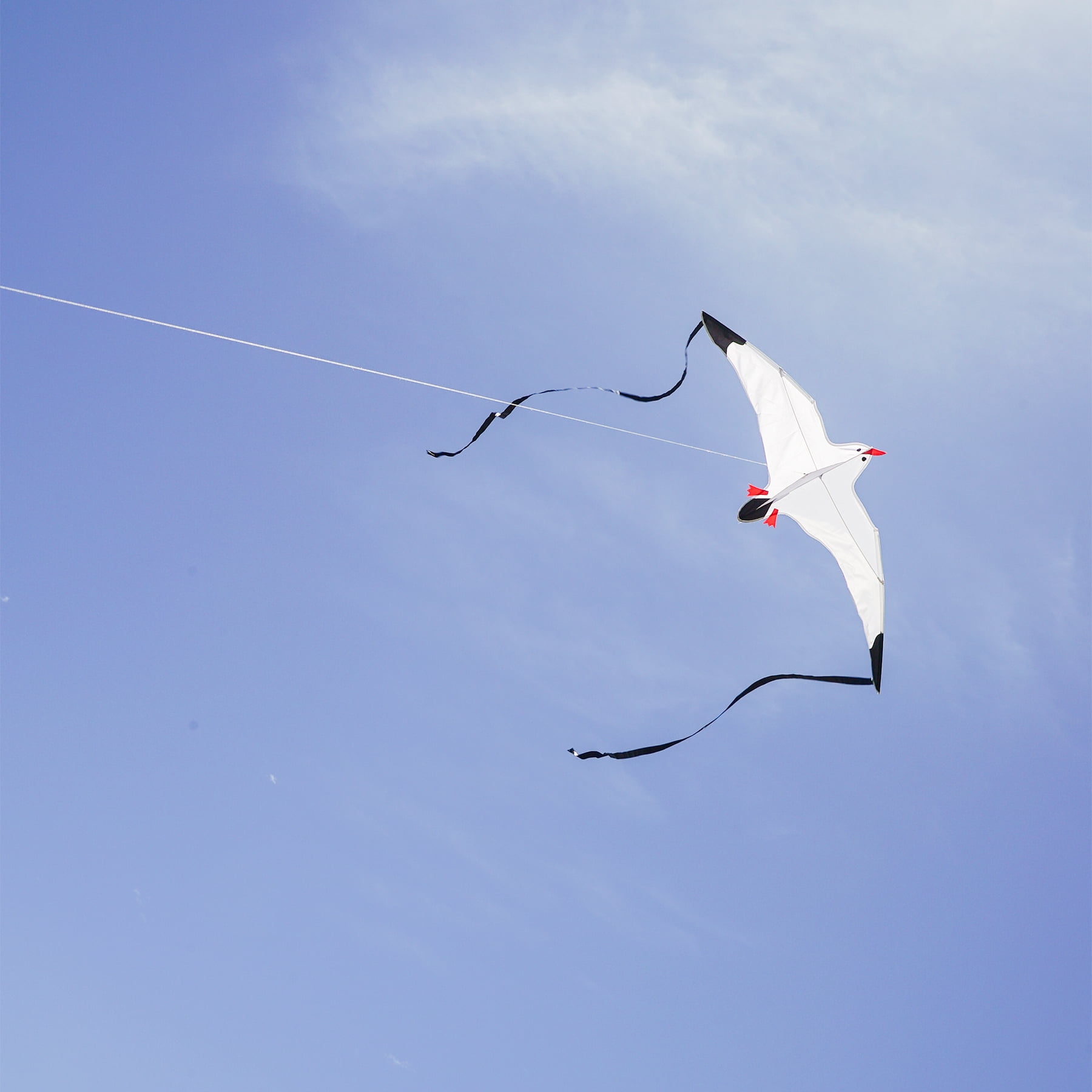 In the Breeze 3140 — Seagull Kite — Fun, Easy Flying Single-Line Kite for All Ages — Sea Life Kite