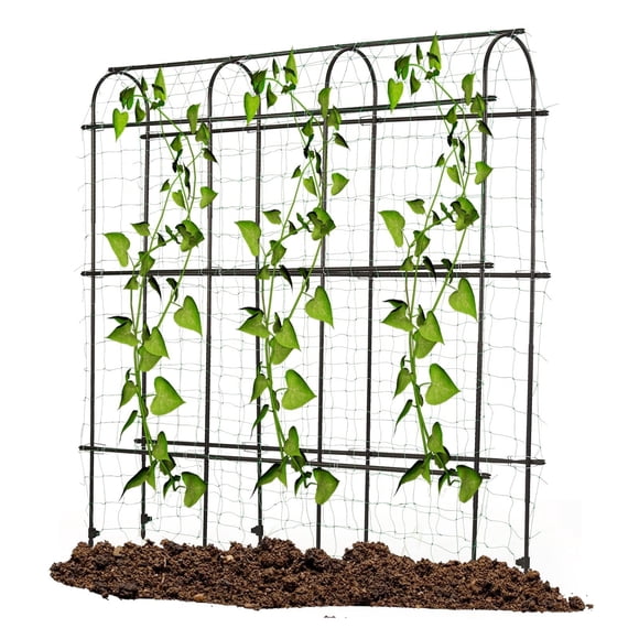 6ft x 6 ft Cucumber Trellis, Metal Garden Arch Trellis for Climbing Plants Outdoor Support Fruits Grape Flowers Vines Vegetables