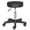 Black, variant on Hassch Swivel Rolling Stool w/ Thick Padded Seat and 5 Wheels, Height-Adjustable Stool with Back, for Massage Salon Home Office (Black)