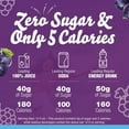 thumbnail image 2 of Pack of 2 - Crystal Light Concord Grape Artificially Flavored Powdered Drink Mix, 6 Ct Pitcher Packets Packaging May Vary, 2 of 4