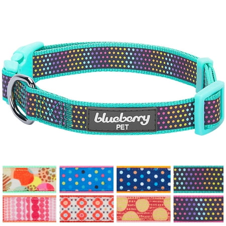 Blueberry Pet Magic Rainbow Color Reflective Polka Dot Holo Dog Collar in Mint Blue, Large, Neck