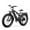 Black, variant on HAROMA 750W Electric Scooter, 26” x 4” Fat Tire E‑Bike with Full Suspension,E-Mountain Bikes for Adults, 48V 13Ah Battery UL2846
