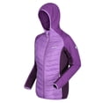 thumbnail image 3 of Regatta - Chaqueta Aislante Andreson VI para Mujer (Jacinto, Púrpura Zafiro, Berenjena Oscura), 3 of 4
