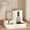 Whale ash, variant on 2in 1 Cat Food Dispenser Water and Food Integrated Fully Automatic Cat Food Feeding and Water Dispenser Cute Water Dispenser