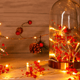 thumbnail image 3 of 30 Lumières Féeriques Perles Rouges, Festives de Noël - Intérieur/extérieur, 3 of 4