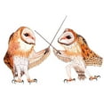 thumbnail image 2 of Kwerki Studios 18x15 White Modern Wood Framed Museum Art Print Titled - Dueling Owls, 2 of 4
