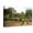 Canvas, variant on Art.com The Artist Garden at Eragny Art Print by Camille Pissarro, Brown Frame Wall Art, 44" x 32"