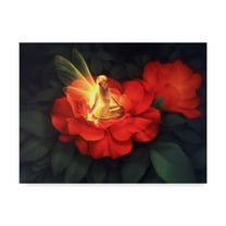 Trademark Fine Art 'Night Light' Canvas Art by Kirk Reinert