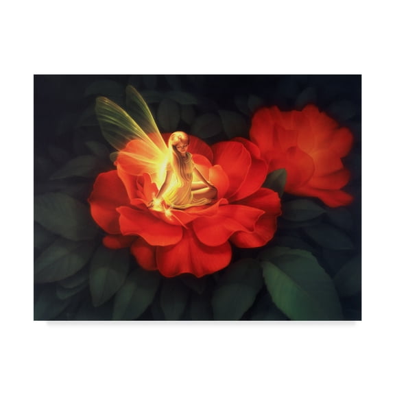 Trademark Fine Art 'Night Light' Canvas Art by Kirk Reinert