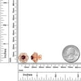 thumbnail image 6 of Gem Stone King 18K Rose Gold Plated Silver Stud Earrings with Jackets Rhodolite Garnet and Moissanite (2.72 Cttw), 6 of 6