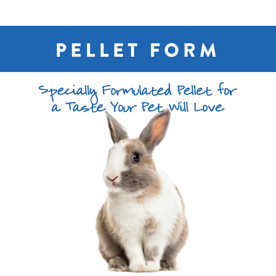 Small World Complete Rabbit Feed Fortified with Essential Minerals & Vitamins, 5 lb - image 4 of 6
