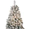 thumbnail image 4 of Northlight 4.5' Prelit Artificial Christmas Tree Flocked Winema Pine - Clear Lights, 4 of 9
