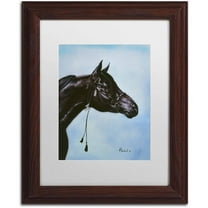Trademark Fine Art 'Black Arabian' Canvas Art by Jenny Newland, White Matte, Wood Frame