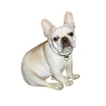 thumbnail image 2 of CafePress - French Bulldog (#2) Mug - 11 oz Ceramic Mug - Novelty Coffee Tea Cup, 2 of 4