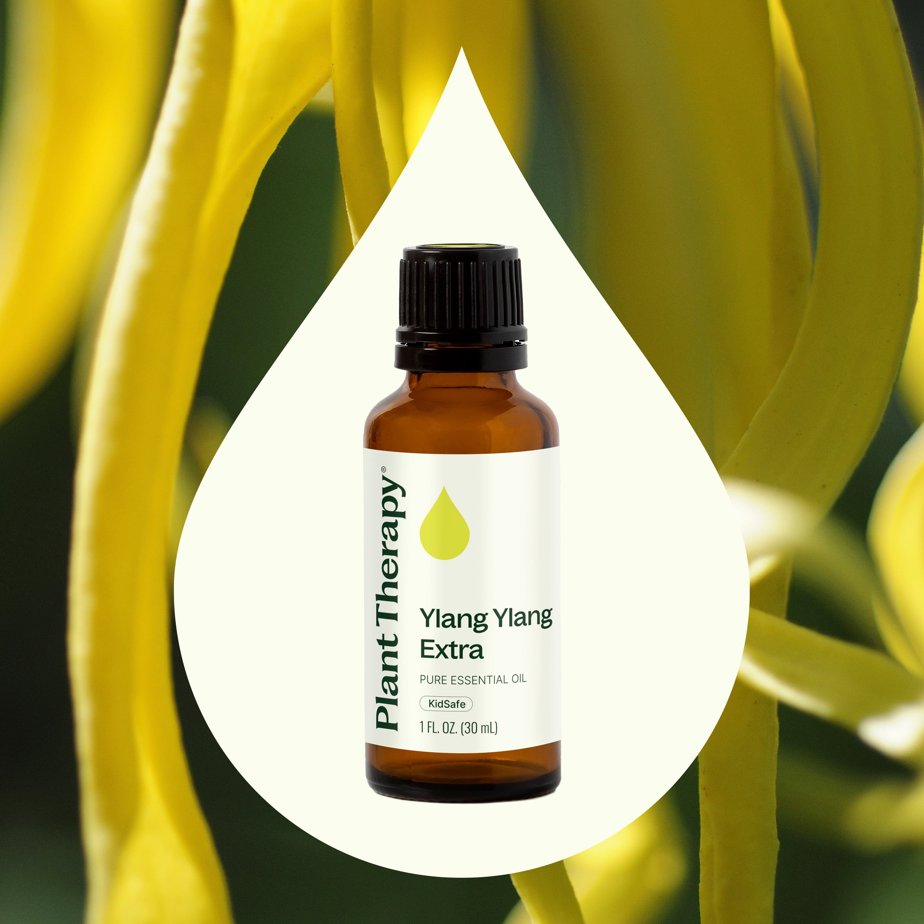 Plant Therapy Ylang Ylang Extra Essential Oil 30 mL (1 oz) 100% Pure, Undiluted, Natural Aromatherapy, Therapeutic Grade