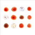 thumbnail image 1 of Peter Gabriel Gratte Mon Dos / et Je Vais Gratter le Vôtre Vinyl, 1 of 2