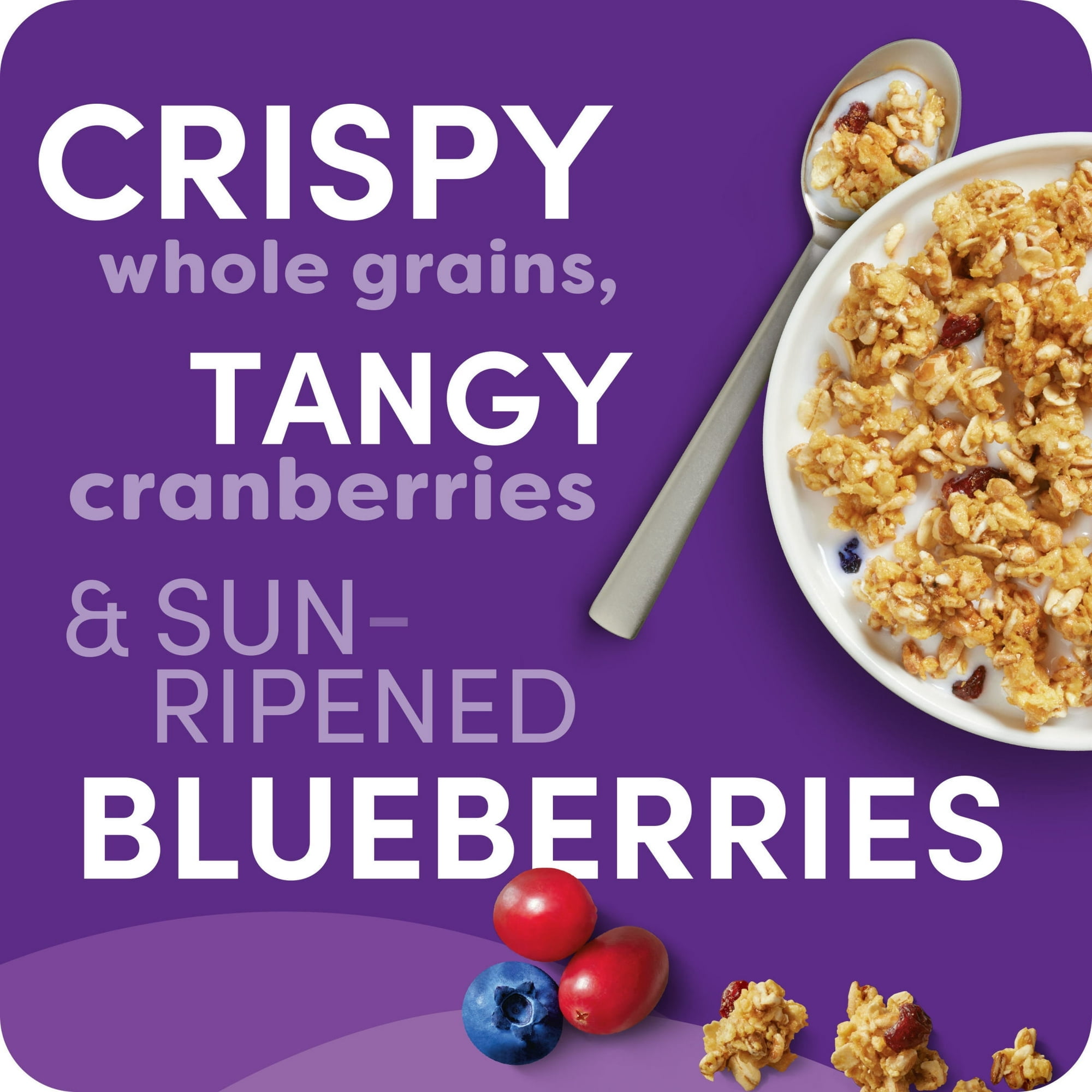 Kashi GO Protein Cereal, 10g Protein, 10g Fiber, Mixed Berry Crunch, 17.7oz Box
